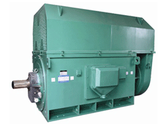 洛隆Y系列6KV高压电机